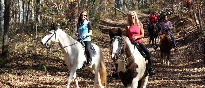 Exploring History & Culture in Calhoun County