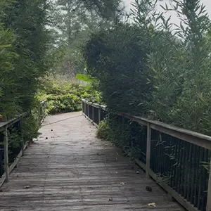 Longleaf Event Center