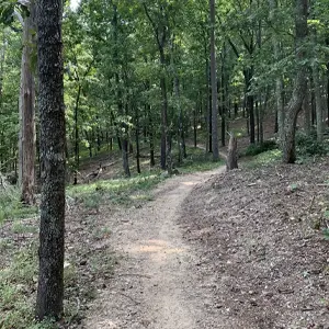 McClellan Multi-Use Trails