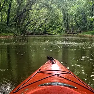 No worries Kayak Rental
