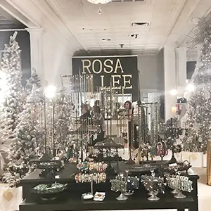 Rosa Lee – Anniston