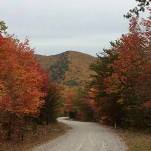 Scenic Drive RV Park & Campground