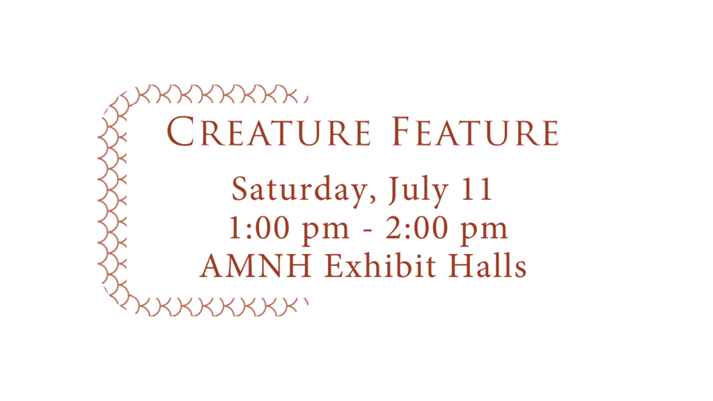Creature Feature