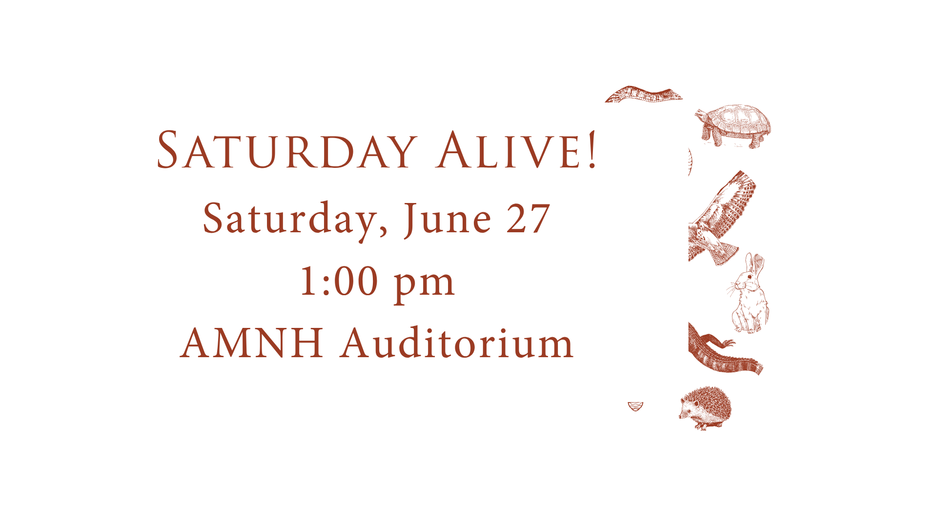 Saturday Alive!