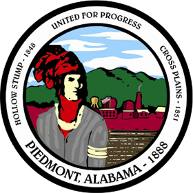 City Council Meeting